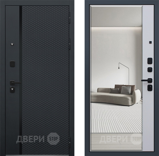 Дверь АСД Ньюкасл с зеркалом в Клине