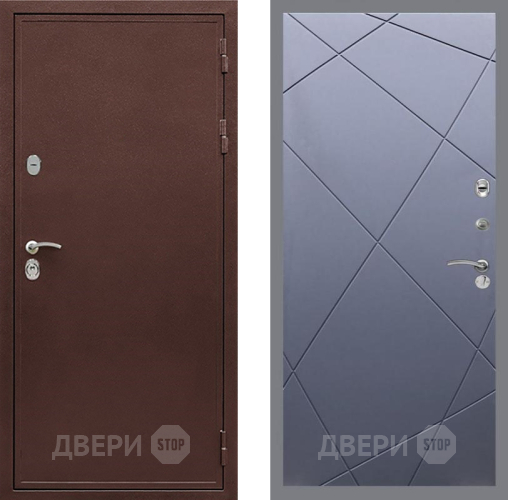 Дверь Рекс (REX) 5 металл 3 мм FL-291 Силк титан в Клине